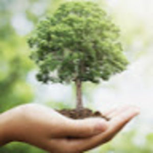 Meet your Posher, Adora